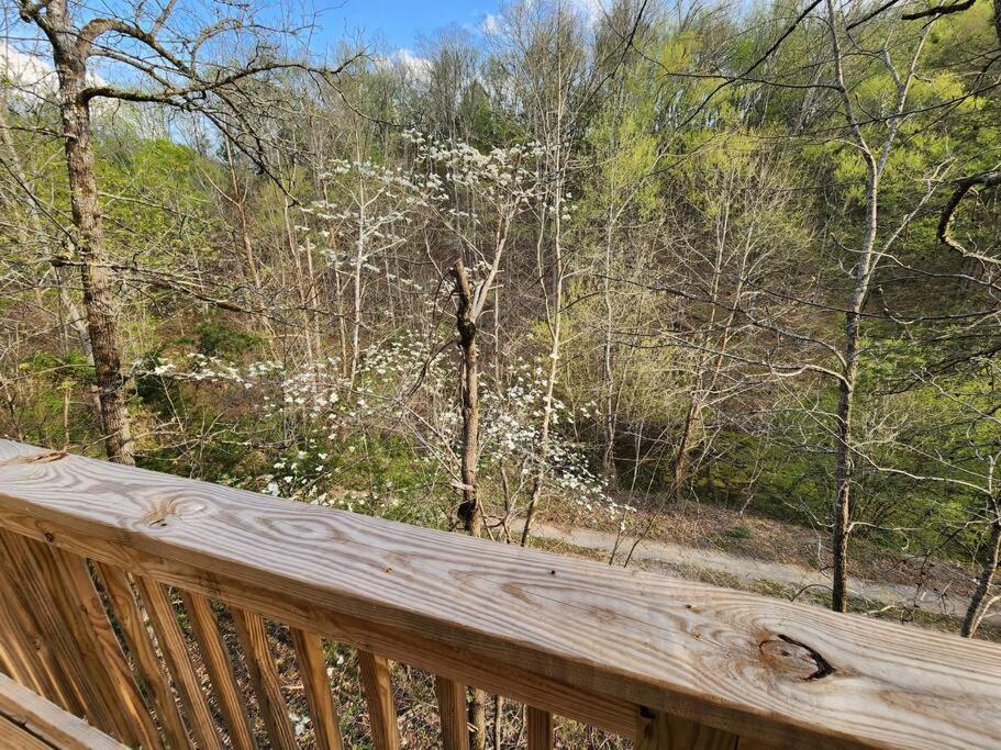 Dancing Bear Cabin- Relax & Enjoy! Sevierville Exterior photo