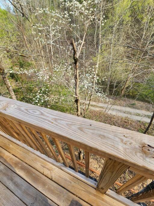 Dancing Bear Cabin- Relax & Enjoy! Sevierville Exterior photo